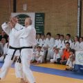 015-Tai-Jitsu-demonstratie-Volendam-14-april-2013-015.jpg