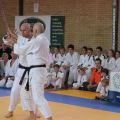 016-Tai-Jitsu-demonstratie-Volendam-14-april-2013-016.jpg