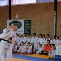 022-Tai-Jitsu-demonstratie-Volendam-14-april-2013-022.jpg