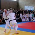 030-Tai-Jitsu-demonstratie-Volendam-14-april-2013-030.jpg