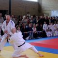 031-Tai-Jitsu-demonstratie-Volendam-14-april-2013-031.jpg