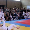 032-Tai-Jitsu-demonstratie-Volendam-14-april-2013-032.jpg