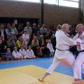 053-Tai-Jitsu-demonstratie-Volendam-14-april-2013-053.jpg