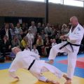 060-Tai-Jitsu-demonstratie-Volendam-14-april-2013-060.jpg