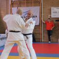 099-Tai-Jitsu-demonstratie-Volendam-14-april-2013-099.jpg