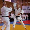 124-Tai-Jitsu-demonstratie-Volendam-14-april-2013-124.jpg