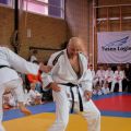 134-Tai-Jitsu-demonstratie-Volendam-14-april-2013-134.jpg