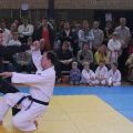 170-Tai-Jitsu-demonstratie-Volendam-14-april-2013-170.jpg