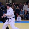 201-Tai-Jitsu-demonstratie-Volendam-14-april-2013-201.jpg