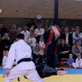 251-Tai-Jitsu-demonstratie-Volendam-14-april-2013-251.jpg