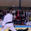 252-Tai-Jitsu-demonstratie-Volendam-14-april-2013-252.jpg