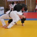 281-Tai-Jitsu-demonstratie-Volendam-14-april-2013-281.jpg