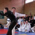 339-Tai-Jitsu-demonstratie-Volendam-14-april-2013-339.jpg