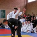 341-Tai-Jitsu-demonstratie-Volendam-14-april-2013-341.jpg