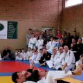 348-Tai-Jitsu-demonstratie-Volendam-14-april-2013-348.jpg