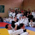 349-Tai-Jitsu-demonstratie-Volendam-14-april-2013-349.jpg