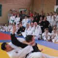 350-Tai-Jitsu-demonstratie-Volendam-14-april-2013-350.jpg