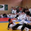 397-Tai-Jitsu-demonstratie-Volendam-14-april-2013-397.jpg