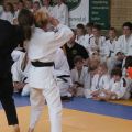 504-Tai-Jitsu-demonstratie-Volendam-14-april-2013-504.jpg