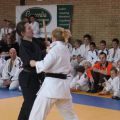 549-Tai-Jitsu-demonstratie-Volendam-14-april-2013-549.jpg