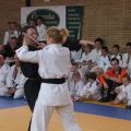 550-Tai-Jitsu-demonstratie-Volendam-14-april-2013-550.jpg