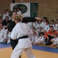 551-Tai-Jitsu-demonstratie-Volendam-14-april-2013-551.jpg