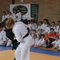 553-Tai-Jitsu-demonstratie-Volendam-14-april-2013-553.jpg