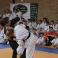 554-Tai-Jitsu-demonstratie-Volendam-14-april-2013-554.jpg