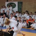 555-Tai-Jitsu-demonstratie-Volendam-14-april-2013-555.jpg