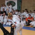 556-Tai-Jitsu-demonstratie-Volendam-14-april-2013-556.jpg