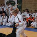 557-Tai-Jitsu-demonstratie-Volendam-14-april-2013-557.jpg