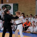 576-Tai-Jitsu-demonstratie-Volendam-14-april-2013-576.jpg