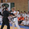 577-Tai-Jitsu-demonstratie-Volendam-14-april-2013-577.jpg