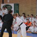 578-Tai-Jitsu-demonstratie-Volendam-14-april-2013-578.jpg