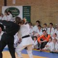 579-Tai-Jitsu-demonstratie-Volendam-14-april-2013-579.jpg