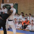 580-Tai-Jitsu-demonstratie-Volendam-14-april-2013-580.jpg