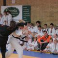 581-Tai-Jitsu-demonstratie-Volendam-14-april-2013-581.jpg