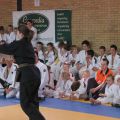 588-Tai-Jitsu-demonstratie-Volendam-14-april-2013-588.jpg