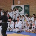 590-Tai-Jitsu-demonstratie-Volendam-14-april-2013-590.jpg