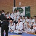 591-Tai-Jitsu-demonstratie-Volendam-14-april-2013-591.jpg