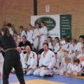 592-Tai-Jitsu-demonstratie-Volendam-14-april-2013-592.jpg