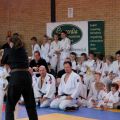 593-Tai-Jitsu-demonstratie-Volendam-14-april-2013-593.jpg