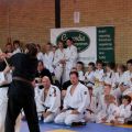 594-Tai-Jitsu-demonstratie-Volendam-14-april-2013-594.jpg