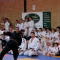 595-Tai-Jitsu-demonstratie-Volendam-14-april-2013-595.jpg