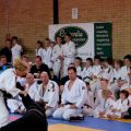 596-Tai-Jitsu-demonstratie-Volendam-14-april-2013-596.jpg