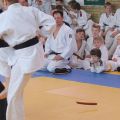 605-Tai-Jitsu-demonstratie-Volendam-14-april-2013-605.jpg