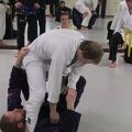 Stage-Braziliaans-Ju-Jitsu-26-01-2013-159.jpg