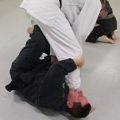 Stage-Braziliaans-Ju-Jitsu-26-01-2013-180.jpg